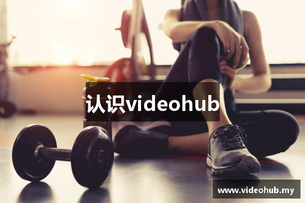 认识videohub